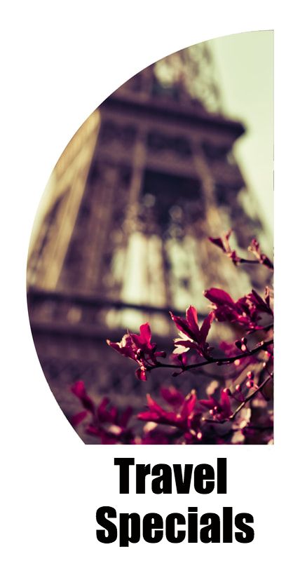 Flowers in front of blurred Eiffel Tower